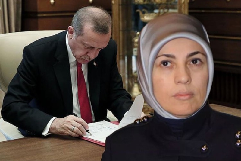 Erdoğan, Kavakcı