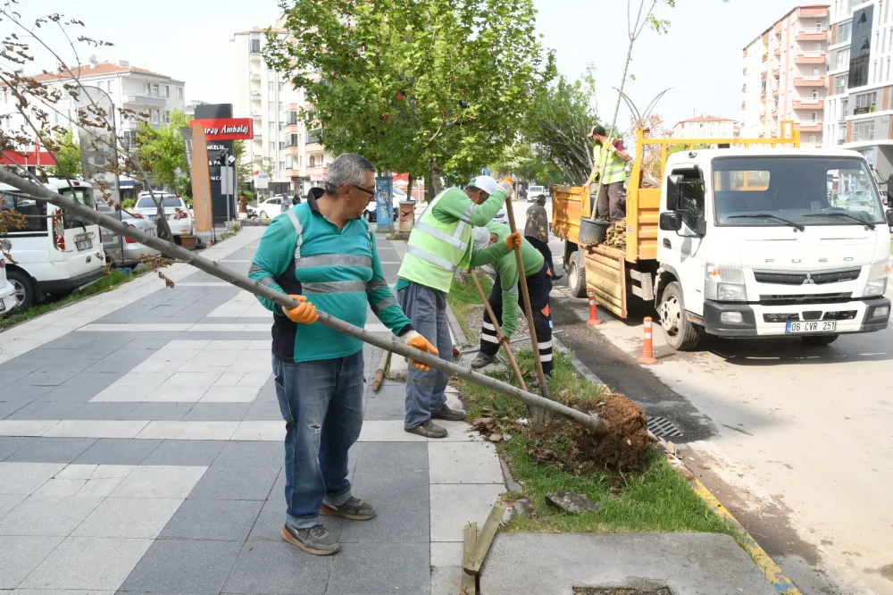 AĞAÇLANDIRMA ÇALIŞMALARI KALDIĞI YERDEN DEVAM EDİYOR