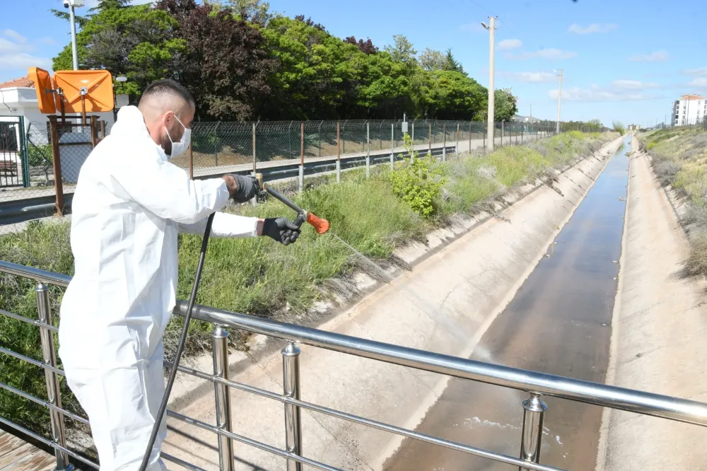 AKSARAY BELEDİYESİ DERE VE GÖLETLERDE ERKEN LARVA MÜCADELESİ BAŞLATTI