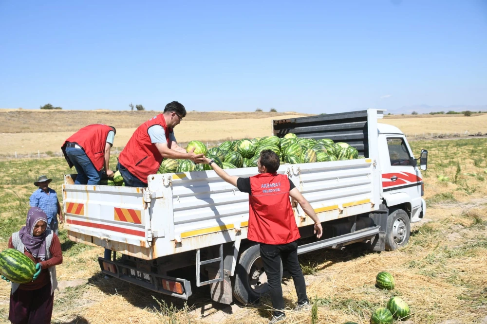 Aksaray Belediyesi’nden Çiftçilere Destek: Aksaray Karpuzu Tanıtımıyla Öne Çıkıyor