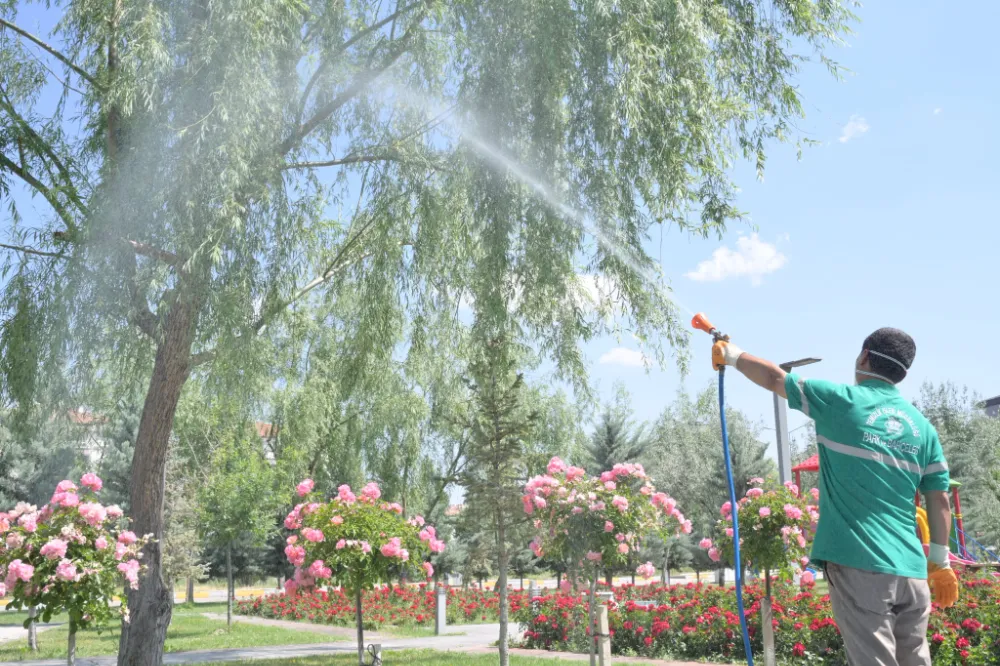 AKSARAY BELEDİYESİ SİVRİSİNEK VE HAŞEREYE KARŞI YAZ BOYU SAHADA OLACAK