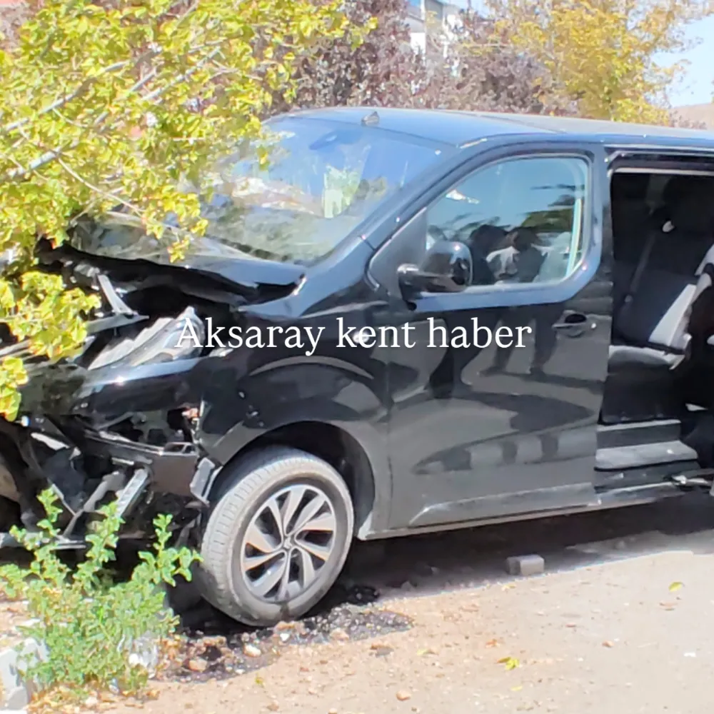 Aksaray’da Panelvan Ağaca Çarptı: 1 Yaralı