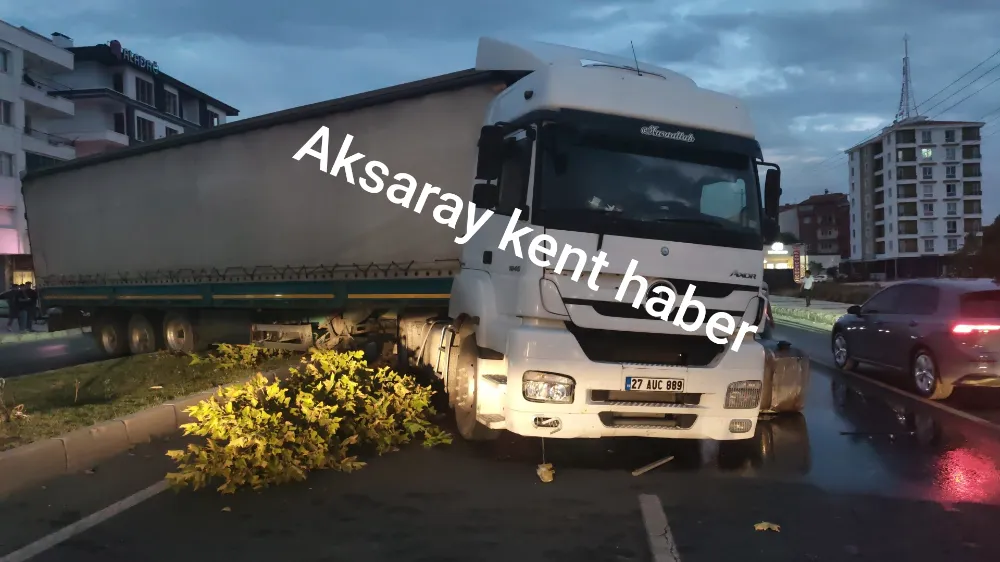 E-90 Karayolu’nda TIR ve Otomobil Kazası: 1 Yaralı