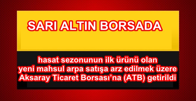 SARI ALTIN BORSADA