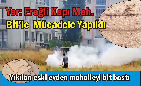 Yikilan mekruh binadan mahalleyi bit sardı